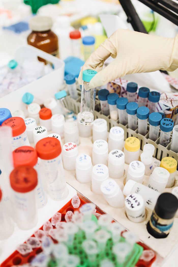 contact-img A scientist's gloved hand handling test tubes in a busy laboratory setting.